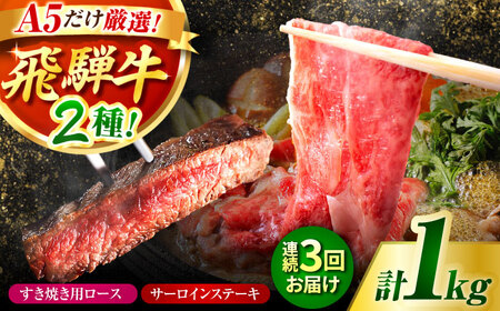 【3回定期】特選飛騨牛ステーキ&すきやき用(1Kgセット) 飛騨牛 すき焼き すきやき サーロインステーキ 牛肉 定期便 肉のキング [AVAG011]
