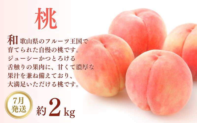 【3か月定期便】和歌山産フルーツ定期便！人気の桃・梨・ピオーネ　旬のフルーツを毎月お届け♪ / 果物 フルーツ 桃 梨 ピオーネ 定期便【tkb114】