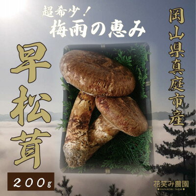 【ふるさと納税】花笑み農園　超希少!早『松茸』200g　～梅雨の恵み～(6～7月発送)【配送不可地域：離島】【1602133】