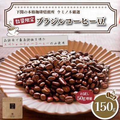 ふるさと納税 下関市 【豆】 訳あり コーヒー豆 お試し 150g 数量限定 ブラジル EW144-E