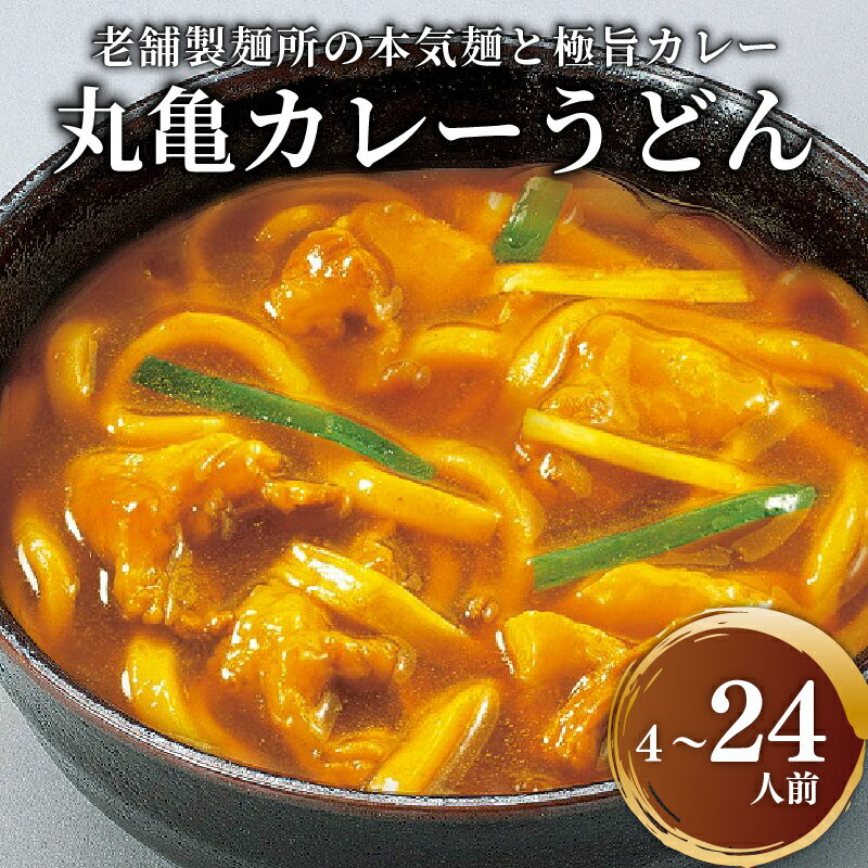 【ふるさと納税】 カレーうどん 半生 ゆで スープ付 4人前 6人前 16人前 24人前 讃岐うどん カレー うどん 香川県 丸亀市