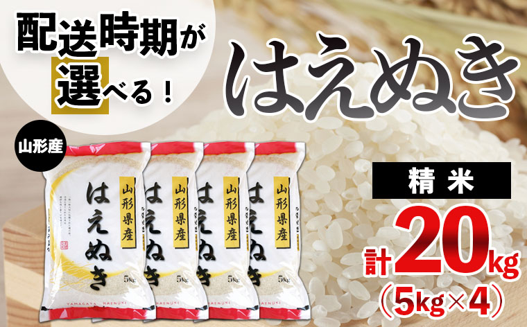 
【配送時期が選べる】[令和6年産]山形産 はえぬき 20kg(5kg×4) ブランド米 山形県 山形市 FY24-399
