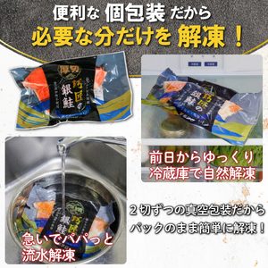【スピード配送】 極厚 銀さけ 真空包装 20切 （ 2切入 × 10パック ） さけ