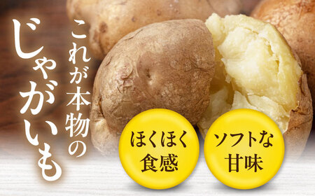 【全3回定期便】【10月～12月発送】キタアカリ 10kg じゃがいも [AJAK019]