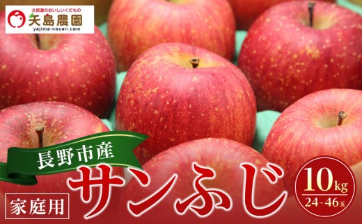 
                  長野県 長野市産 サンふじ 家庭用 10kg(24～46玉)サイズふぞろい【2026年12月中旬頃～発送予定】(矢島農園)
                
