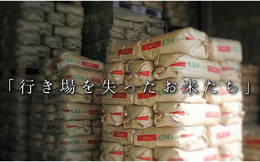 【令和7年産】南魚沼産コシヒカリ　精米5kg　訳あり【銘柄米 ブランド米 精米 こしひかり コシヒカリ 魚沼産 新潟米 産地直送 お米 米 こめ コメ ご飯 御飯 ごはん】