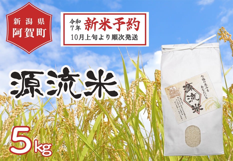 
            新米予約《令和7年産米》源流米　コシヒカリ5kg（1袋） ～七福の恵をあなたにも～	
          