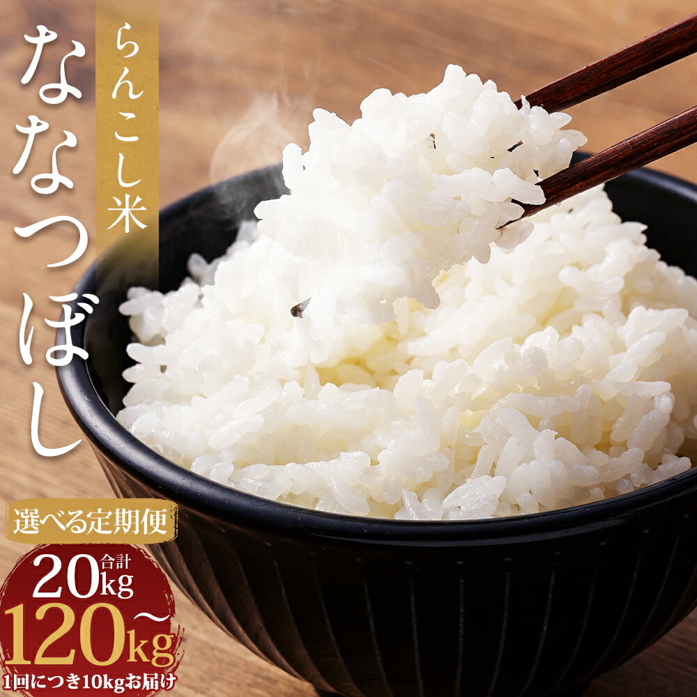 【ふるさと納税】【選べる定期便】らんこし米 ななつぼし 10kg 2ヶ月/3ヶ月/4ヶ月/5ヶ月/6ヶ月/7ヶ月/8か月/9ヶ月/10ヶ月/11ヶ月/12ヶ月 定期便 お米 精米 白米 ななつぼし 蘭越町産 北海道産 送料無料