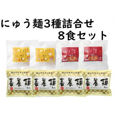 ふるさと納税 天理市 にゅう麺3種詰合せ8食(天理市・東吉野村共通返礼品)