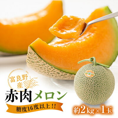 【ふるさと納税】糖度16度以上!!【富良野産　赤肉メロン】1玉入り　【1494972】
