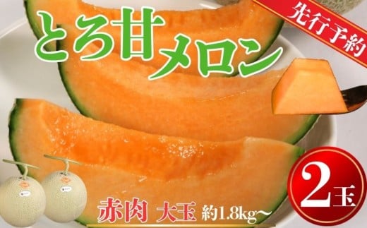 【先行予約】 赤肉とろ甘メロン 大サイズ 2玉（1玉約1.8kg以上） 銚子産 弥兵衛 完熟 熟成 メロン 赤肉 果物 フルーツ ギフト プレゼント 贈答 お取り寄せ 高級 デザート スイーツ ケーキ ゼリー ジュース フルーツサンド 国産 産地直送 送料無料 ふるさと納税 ふるさと納税果物 千葉県 銚子市 弥兵衛 7月上旬～発送
