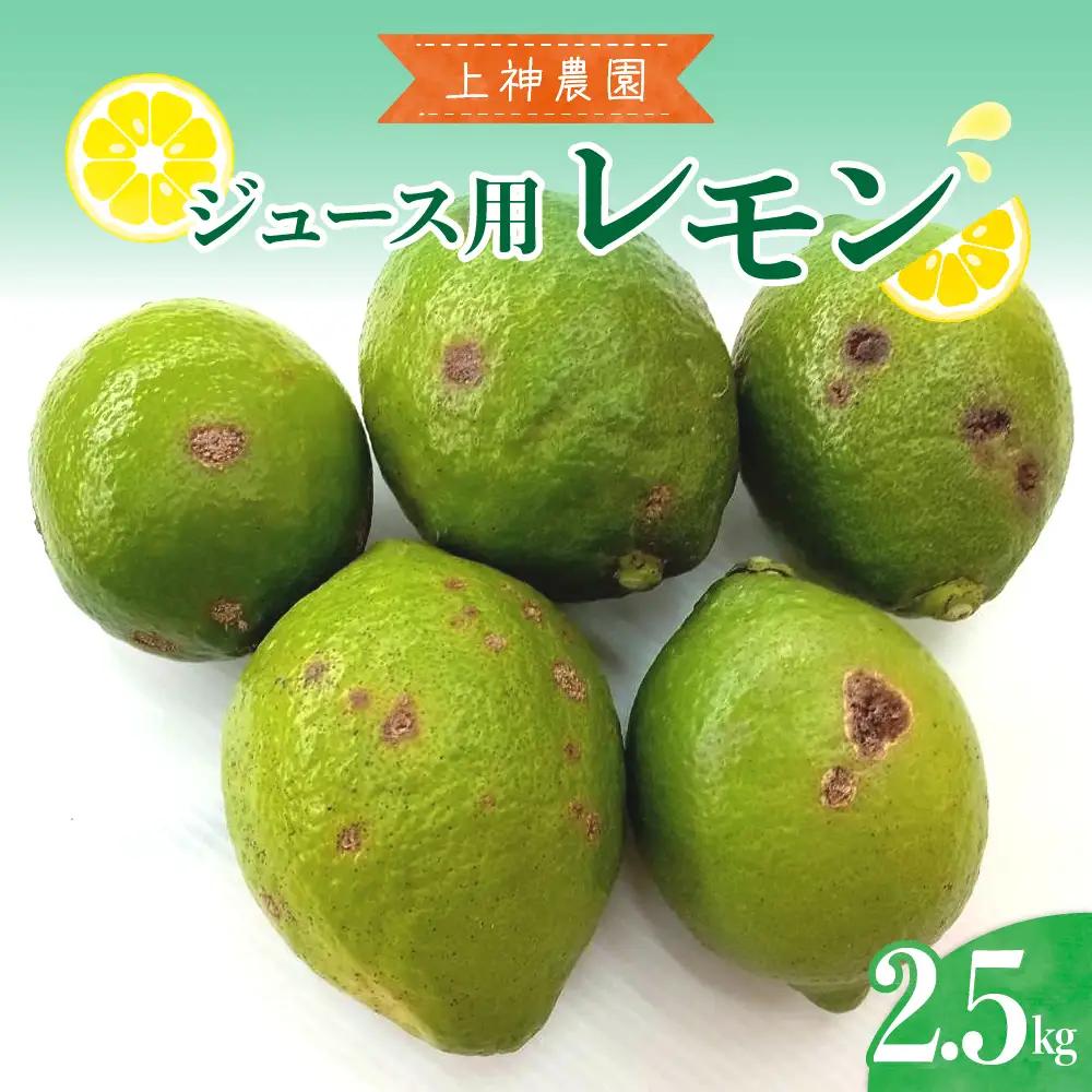 【先行受付】【2026年11月～発送】ジュース用 レモン 約2.5kg