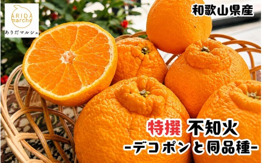 
                  特選 濃厚 不知火 (通称デコポン)  約3kg+200g(傷み補償分) ※2027年1月下旬～3月下旬に順次発送【ard258】
                