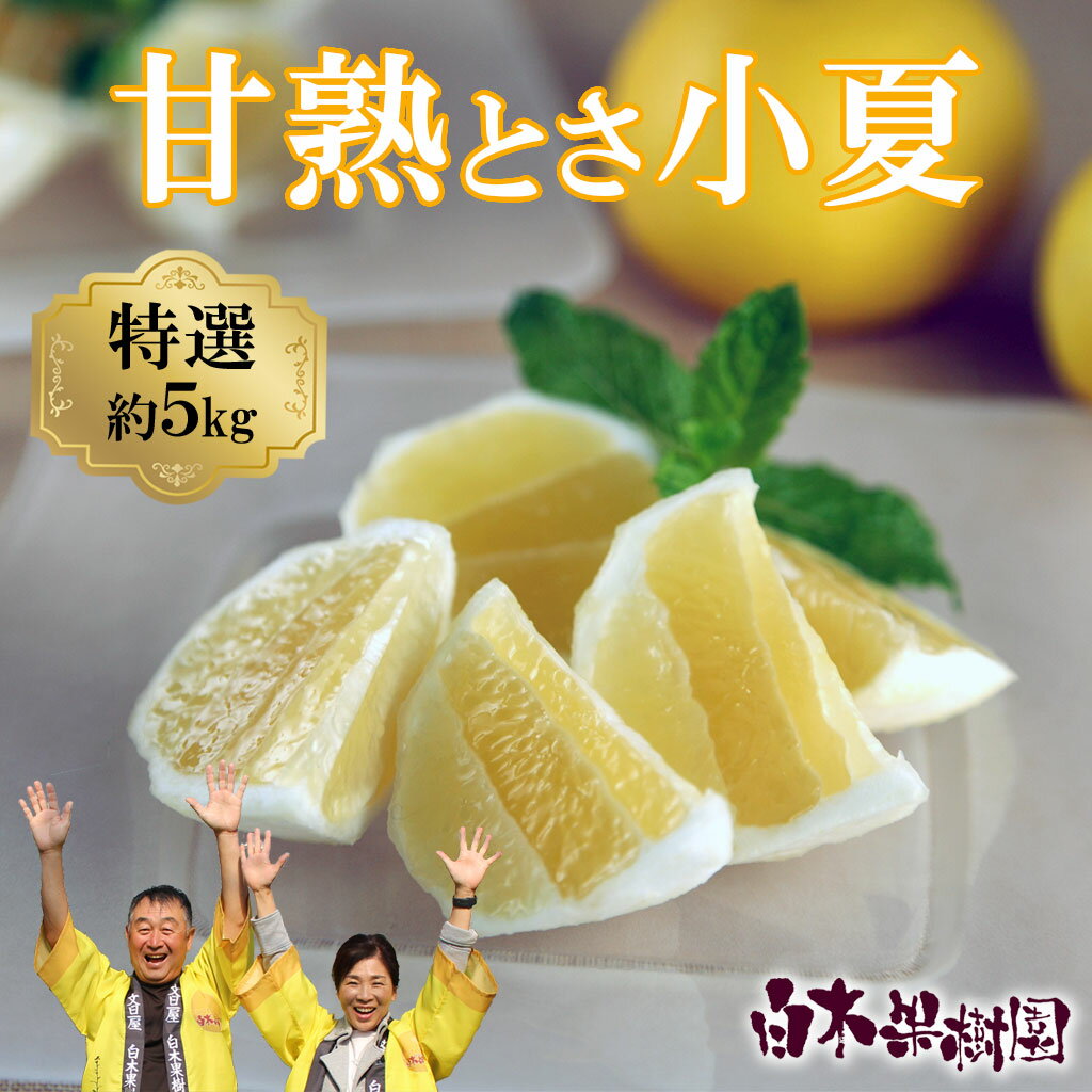 【ふるさと納税】＜白木果樹園＞　先行予約　甘熟とさ小夏 約5kg S～Lサイズ 特選品 贈答用 果物 柑橘 フルーツ こなつ 小夏 すくも小夏 宿毛小夏 日向夏 ニューサマーオレンジ みかん 高知県 土佐市 お取り寄せ 産地直送 ギフト 贈り物 ふるさとのうぜい 故郷納税 返礼品