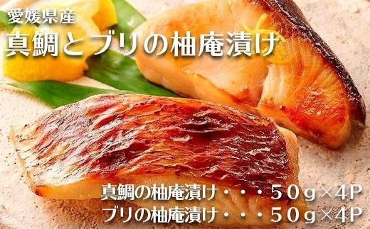 真鯛とブリの柚庵漬け 各4パック | 骨取り加工 セット 海鮮 魚介 鯛 ブリ タイ 鰤 柚子 柚庵 簡単調理 お惣菜 惣菜 ご飯 お供 酒の肴 おつまみ お酒 にも合う たい ぶり 柚子 骨取り 冷凍 海産物 魚 さかな お魚 人気 おすすめ 送料無料 お取り寄せ グルメ 国産 愛媛県 松山市