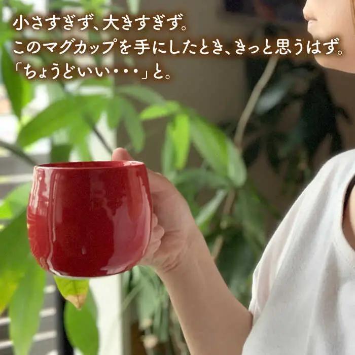 【波佐見焼】マグカップ 2色セット （ジェダイ＆オレンジ） 食器 皿 【ROXY・HASAMI】 [SB139]  波佐見焼