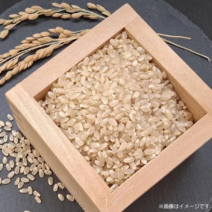 【定期便】令和8年産米　淡路島産キヌヒカリ　玄米10kg《12回コース》
