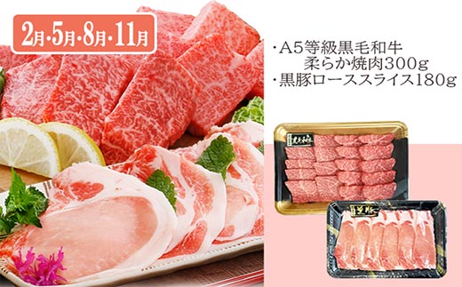 定期便(3回配送)鹿児島産A5等級黒毛和牛&黒豚　EE-6014【1471286】_ ふるさと納税 定期便 牛肉 豚肉 A5等級 黒毛和牛 黒豚 焼肉 サーロイン ステーキ ハンバーグ しゃぶしゃぶ 