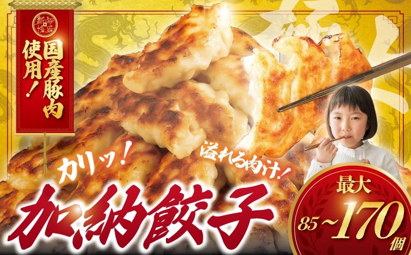 
            ぎょうざ 餃子 85個～170個 肉汁 旨い パック 豚肉 ぶた 野菜 焼き餃子 水餃子  国産豚  豚肉 野菜 ギョーザ gyouza 冷凍餃子 冷凍ぎょうざ ぶたにく 生餃子 冷凍 ご飯 おかず 夕食 おつまみ 晩酌 簡単調理 時短 簡易包装 手作り餃子 冷凍 冷凍食品 中華 加納食堂 神奈川 湘南 藤沢
          