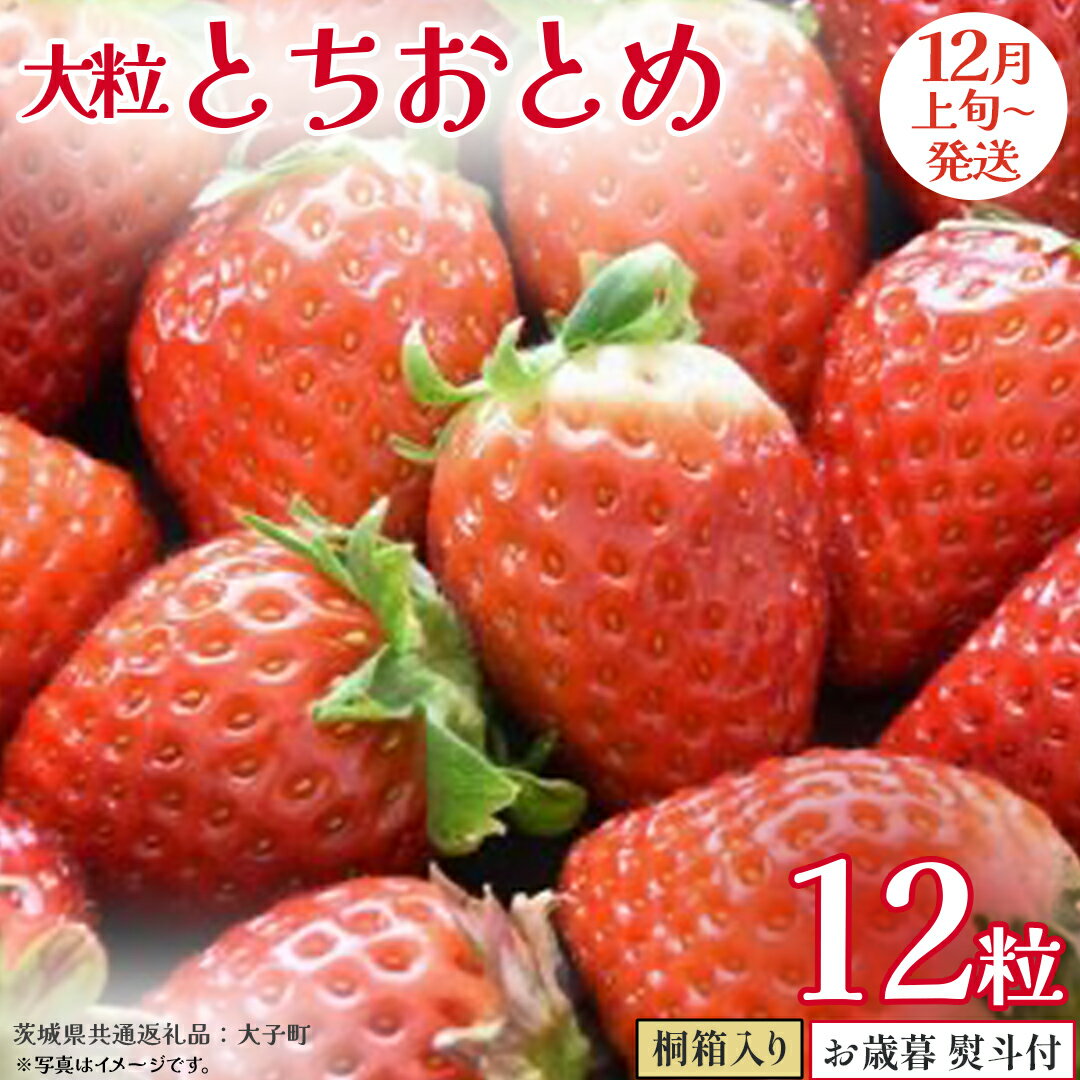 【ふるさと納税】【 お歳暮 熨斗付き 】 桐箱入り 大粒 とちおとめ 12粒【2025年12月上旬発送開始】(茨城県共通返礼品：大子町) いちご 苺 果物 フルーツ 果実 贈答用 ギフト 贈り物