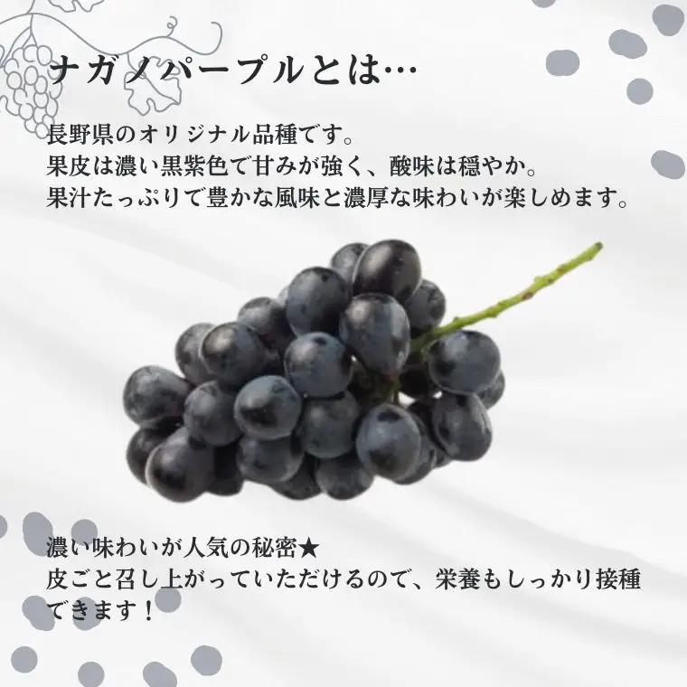 ぶどう2種セット （ナガノパープル・クイーンルージュ®） 約2kg 贈答 ／ 2026年9月中旬～10月頃 配送予定 [TK31]//長野県 南信州 種なし 葡萄 ぶどう マスカット フルーツ 果物 