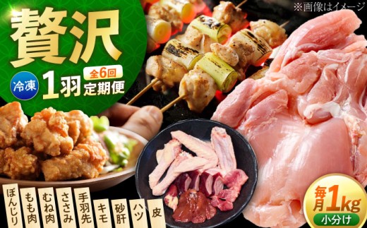 【全6回定期便】鶏肉 一黒シャモ 合計1kg 冷凍 江田島市／ポーク＆チキン江田島[XAH009]｜鶏肉 とり肉 地鶏 シャモ 軍鶏 冷凍 加熱用 国産 鶏 シャモ 鶏料理 焼き鳥 江田島 広島 人気 おすすめ お取り寄せ