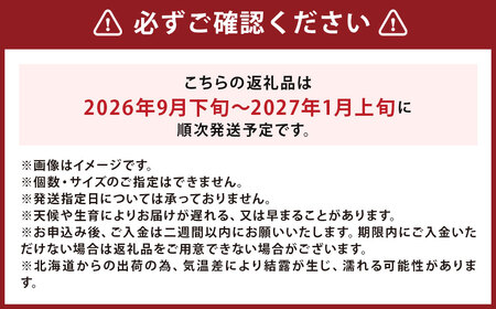 【訳あり】北海道産 じゃがいも キタアカリ M～2Lサイズ混載 約5kg 1箱 山田農場 ジャガイモ 芋 いも イモ 訳アリ わけあり ワケアリ 国産 【2026年9月下旬-2027年1月上旬迄発送予