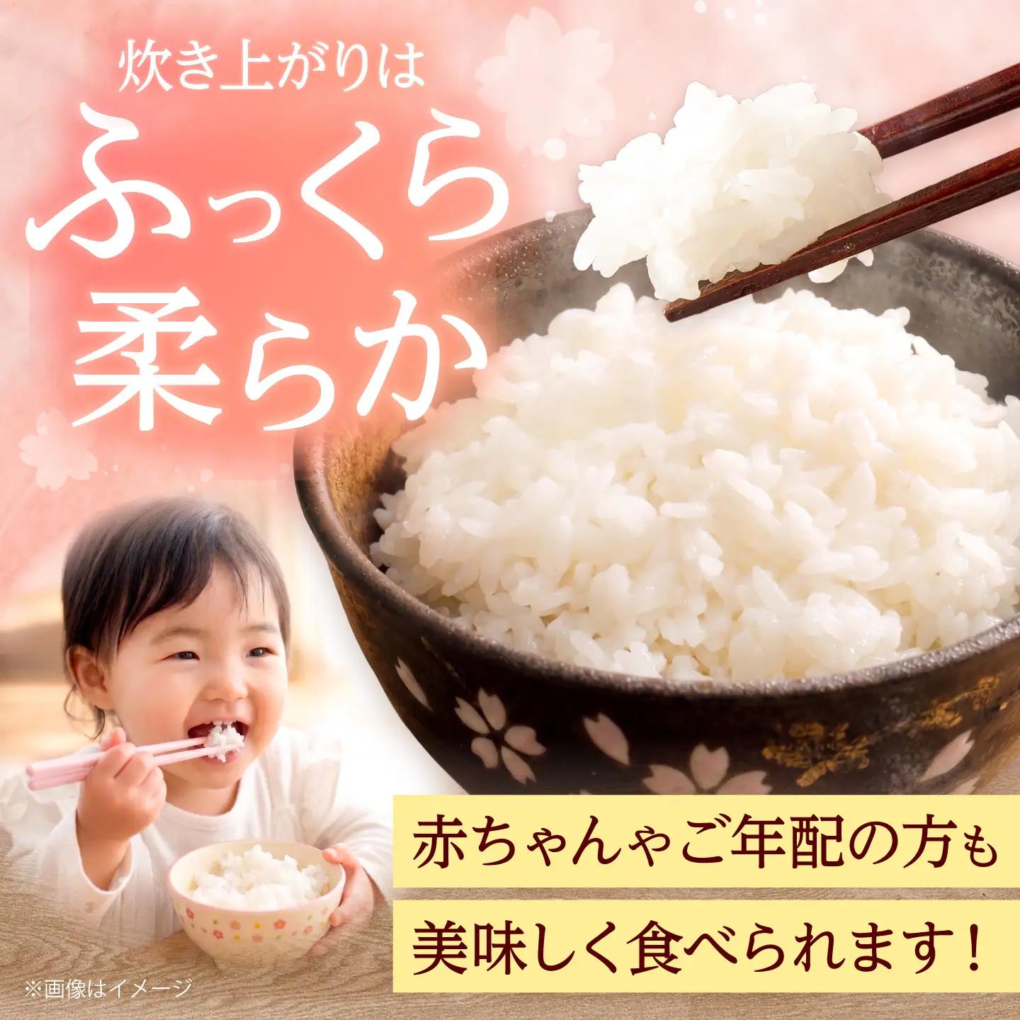 夢つくし 無洗米 20kg [BGAA089] ゆめつくし 無洗 20キロ