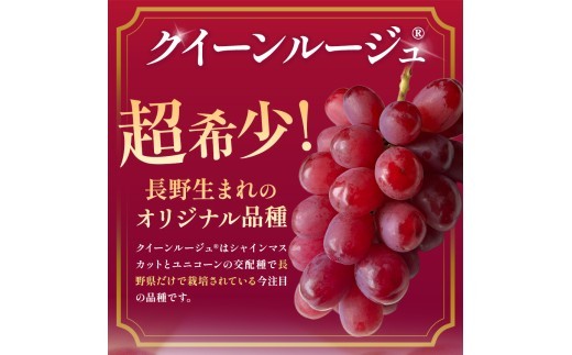 信州松本から旬の巨峰をお届けします。
