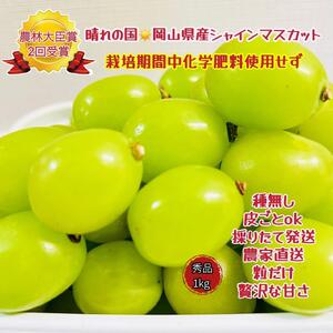 シャインマスカット 秀品 粒だけ 約1kg   2025年6月下旬から発送｜  シャインマスカット