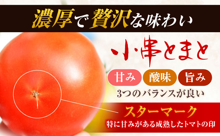 【先行受付】小串トマト 約1kg（8個〜13個程度）【グリーン東彼新鮮市場】[OAE001] / 小串トマト とまと 濃厚トマト 人気とまと 川棚トマト 野菜 サラダ 健康野菜 ビタミン  日本一の称