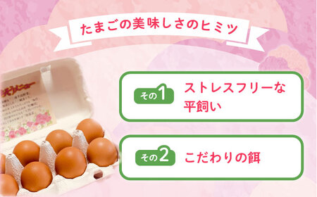飼い方にこだわり餌にこだわった「姫様のたまご」 20個 たまご 姫様のたまご たまご たまご こだわりたまご たまご　[AKET007]