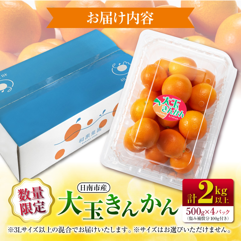 食べ応え抜群 大玉 きんかん 計2kg以上 傷み補償分付き 数量限定 期間限定 フルーツ 果物 くだもの 柑橘 金柑 先行予約 国産 希少 人気 おすすめ ジャム おやつ デザート_BB161-25_
