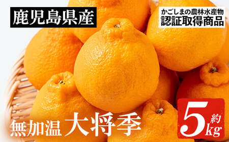 【先行予約・1月中旬頃から発送】JAさつま日置いちき串木野産無加温大将季 約5kg 不知火（デコポン）の枝変わり新品種！【A-2003H】