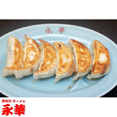 【ふるさと納税】佐野餃子(中)野菜27g×72個 【離島・沖縄県不可】【配送不可地域：離島・沖縄県】【1142383】