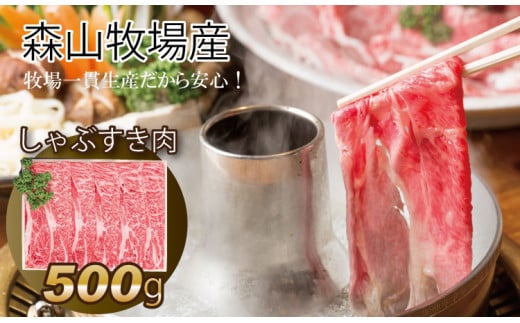 
鮮度が違う！森山牧場 スライス肉（500g） 黒毛和牛
