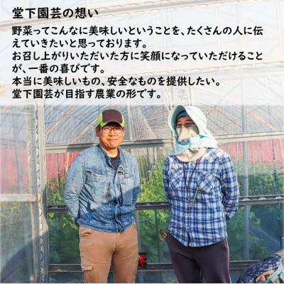 ふるさと納税 あわら市 【毎月定期便】農家直送 旬の野菜セット 7品目以上全3回 |  | 03