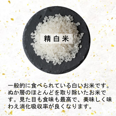 【新米】令和6年産　宮城県産ひとめぼれ 精米10kg【1552382】