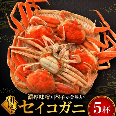 ふるさと納税 小浜市 朝ゆでセイコガニ5ハイ