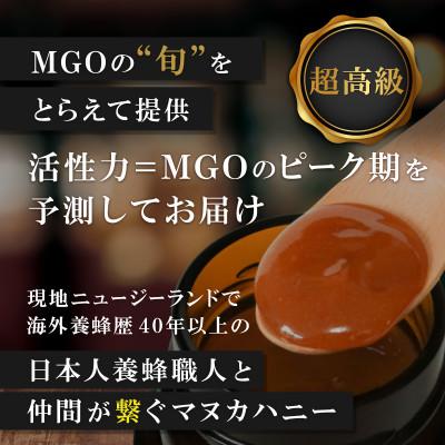 ふるさと納税 和泉市 【2ヵ月毎定期便】ストロングマヌカハニー【MGO1050+】500g×2個　全3回 |  | 01