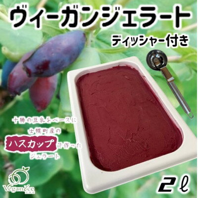 【ふるさと納税】北海道産ヴィーガンジェラート　ハスカップ　2L　ディッシャー付き【配送不可地域：離島】【1490058】