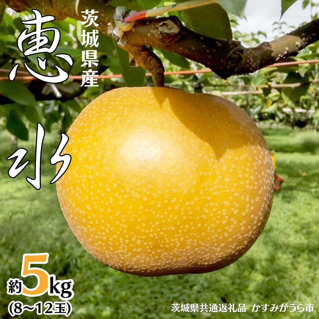 【ふるさと納税】【 先行予約 】 茨城県産 梨 恵水 約5kg 8玉～12玉 (茨城県共通返礼品 かすみがうら市) (2026年9月中旬発送開始) 産地直送 久保田果樹園 フルーツ 甘い 直送 茨城 限定 ギフト 梨 恵水 けいすい 果物