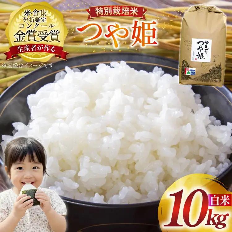 米 令和8年産 つや姫 10kg 特別栽培米 精米