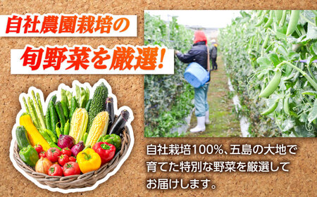 【全4回定期便】五島列島の旬野菜セット7〜10品目 おまかせ おたのしみ 詰め合わせ 五島市/五島のやぁしゃ便 [PBG002]