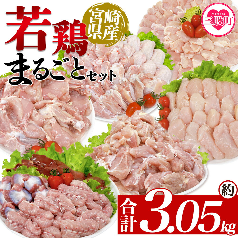 【ふるさと納税】＜宮崎県産若鶏まるごとセット 約3.05kg＞ 国産 鶏 肉 精肉 モモ もも肉 使いやすい パック 真空冷凍 切り身 選べる数量 お弁当 惣菜 からあげ 照り焼き 数量限定 BBQ バーベキュー 鶏ムネ 鶏むね 鳥モモ ささみ ササミ 小分け 【MI443-tr】【TRINITY】