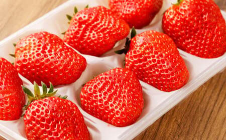 寒蜜いちご 紅ほっぺ 特大粒 4パック（約300g×4パック） 【2025年12月下旬-2026年1月下旬発送予定】【配送不可：北海道・沖縄・離島】 ｜いちご 苺 紅ほっぺ 果物 くだもの フルーツ 