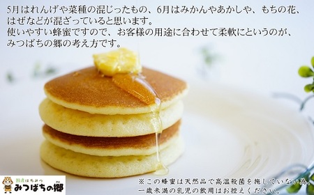 岐阜県産 やさしいはちみつ250g×3本【1501897】