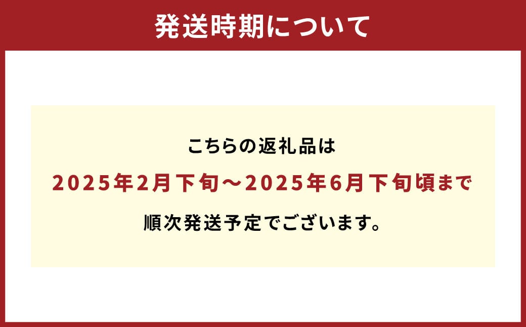 パクパクデコ 10kg バラ詰め 訳あり（B品）