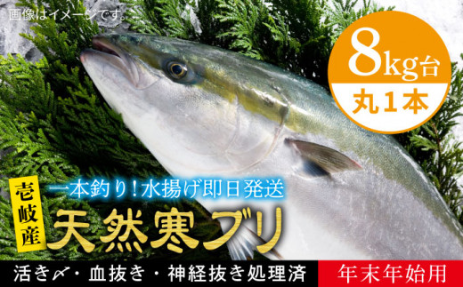 【11/1〜1/15お届け 年末年始用】天然 寒ブリ（8キロ台・丸もの） 《壱岐市》【壱岐島　玄海屋】[JBS017] ぶり 寒ぶり ブリ 魚 刺身 しゃぶしゃぶ 190000 190000円 19万