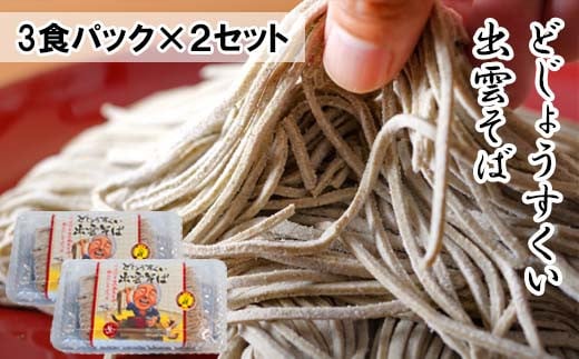 どじょうすくい出雲そば【出雲そば 生麺 あごだし 飛魚 つゆ そばつゆ つゆ付き セット 麺類 そば パック 島根県 安来市】